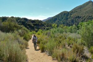 Sespe River Trail Herb Hike @ Maricopa Plaza parking lot for carpool | Ojai | California | United States