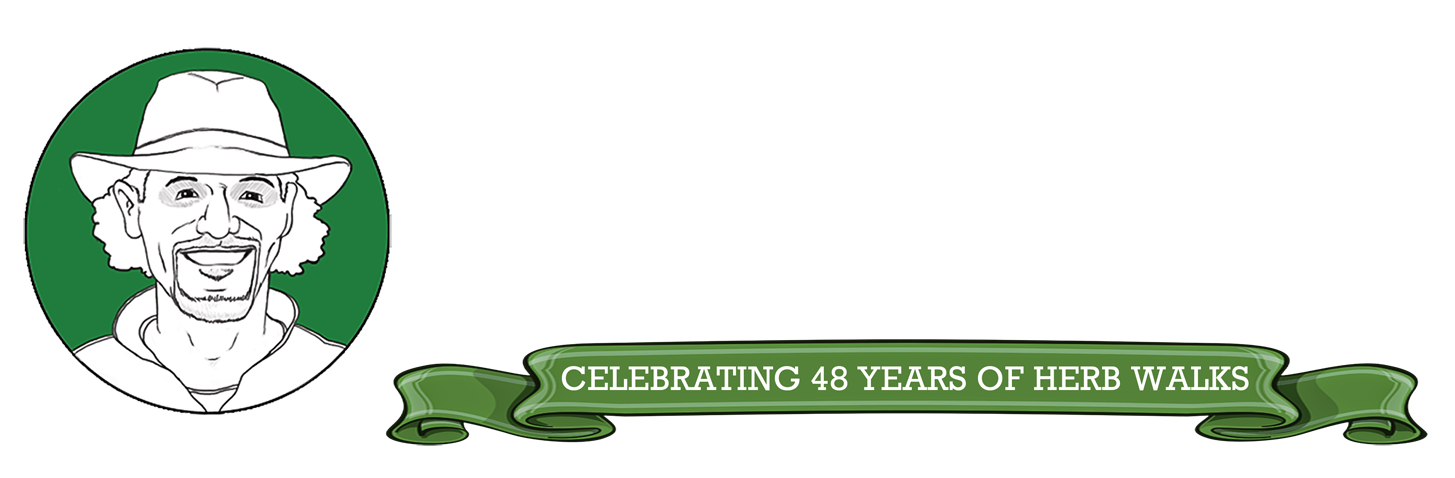 Ojai & Southern California Herb Walks with Lanny Kaufer