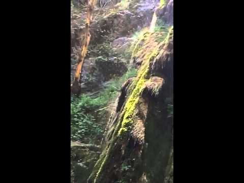 youtube placeholder image