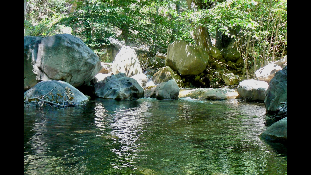 youtube placeholder image