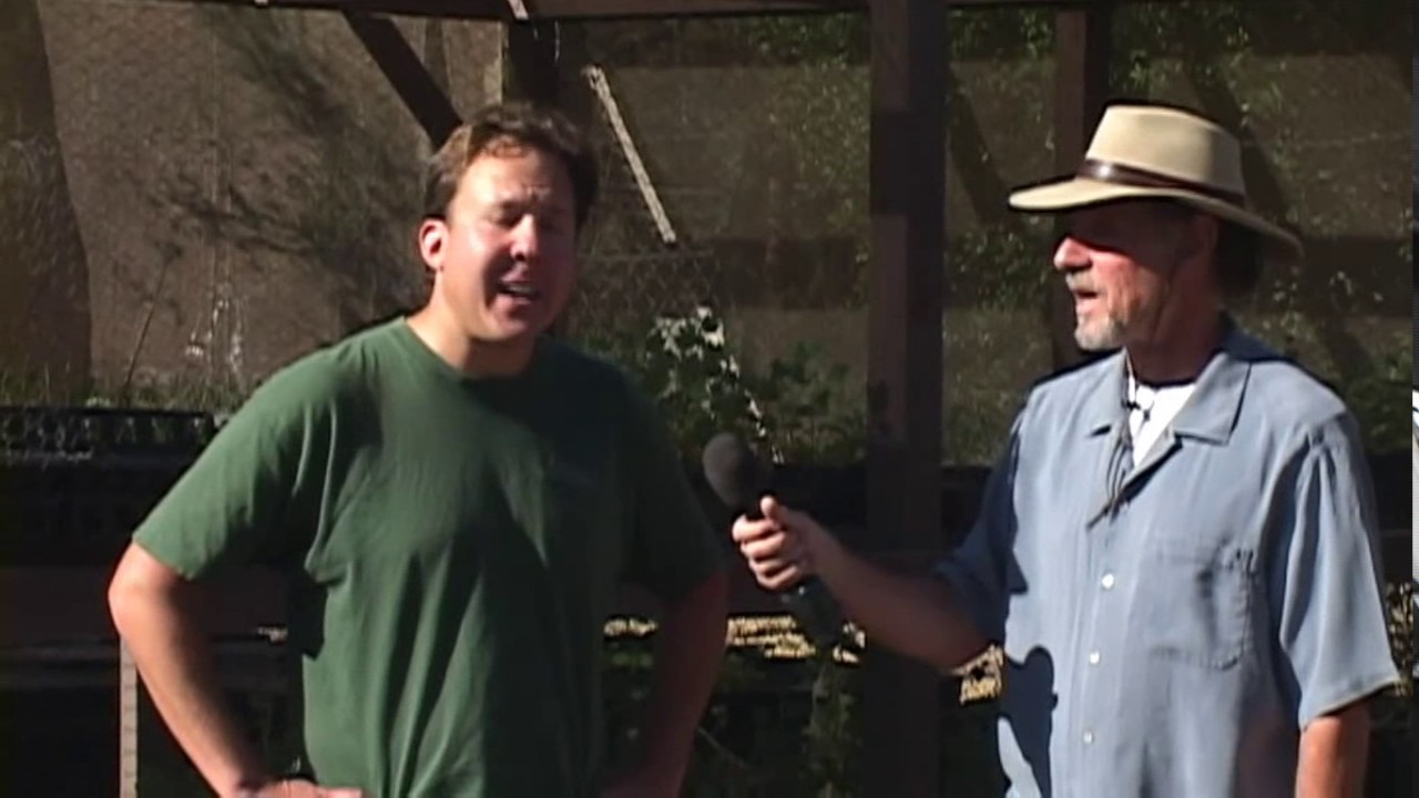 youtube placeholder image