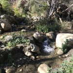 IMG_6795.jpg