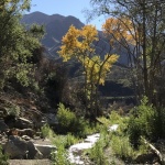 IMG_6802.jpg
