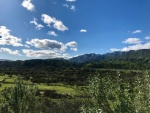 IMG_7066.jpeg