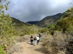 DSCF5333.jpg