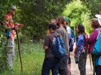 Lanny and the group talking plants