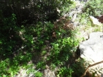 DSC03644.jpg