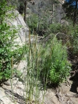 DSC03649.jpg