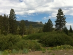 View from Kirkwood Meadows