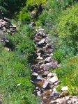High Sierra creek