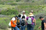 Herb Walk with Lanny Kaufer