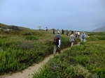 Seaside Herb Walk with Lanny Kaufer