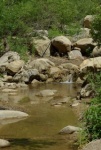 Potrero John Creek