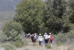 On a nature hike with Lanny Kaufer(www.HerbWalks.com)