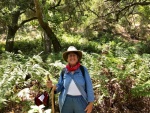 Jeanne and the Giant Chain Ferns