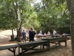 Lunch stop in the picnic area
