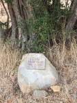 "Padre Olive" plaque