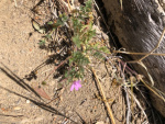 IMG_9112.jpg