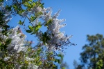 PK_00022.jpg