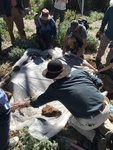 IMG_0326.JPG
