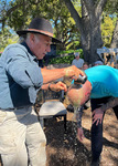IMG_1273.jpeg