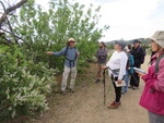 IMG_0623.JPG