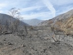 Matilija Wilderness